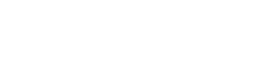 Prime Fitness logo